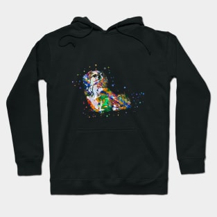 Pekingese Hoodie